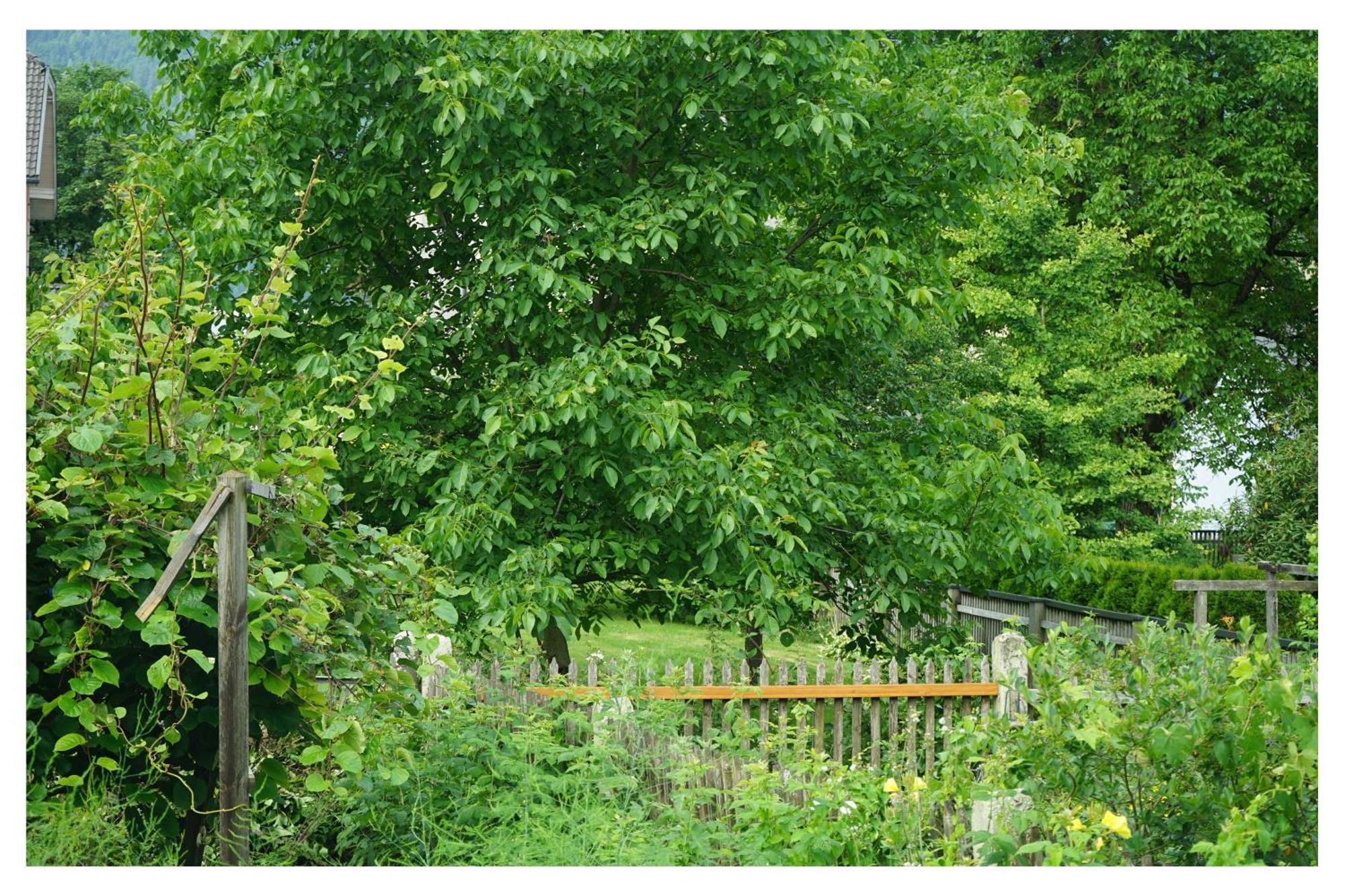 Ingrid'S Guesthouse Spittal Spittal an der Drau Buitenkant foto